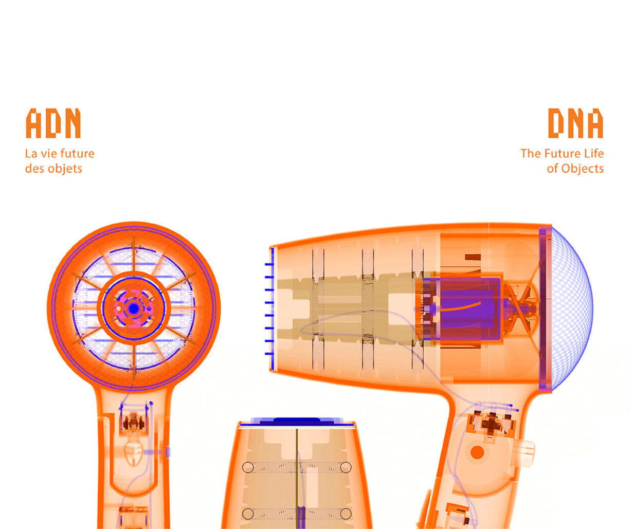 ADN : La vie future des objets