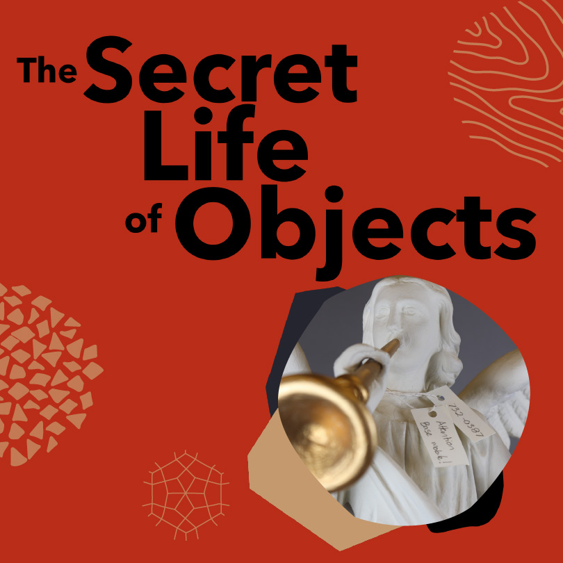 Immersive exploration of our museum reserve.